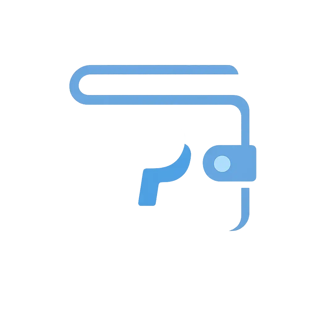 PayPal e-wallet icon