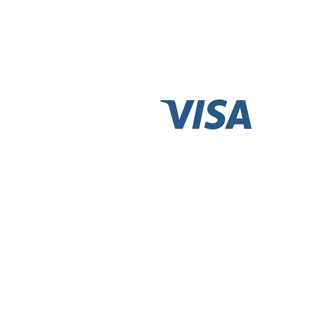 Visa debit card icon